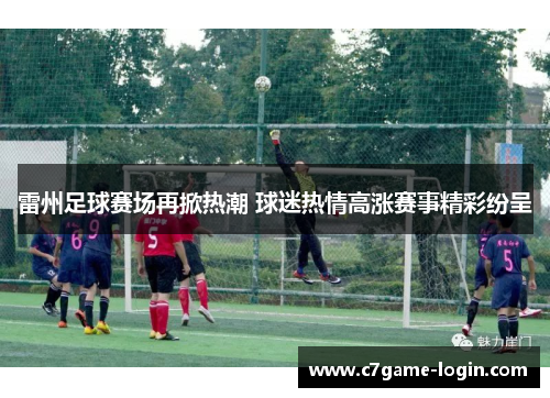 雷州足球赛场再掀热潮 球迷热情高涨赛事精彩纷呈