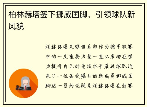 柏林赫塔签下挪威国脚，引领球队新风貌